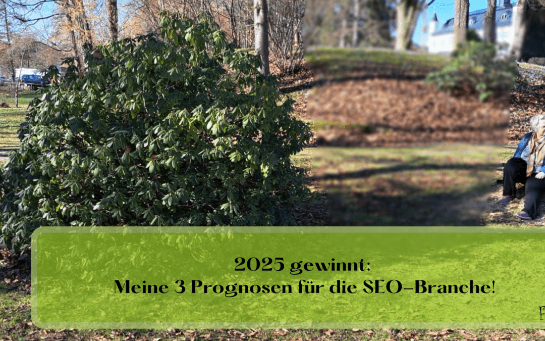2025 gewinnt: Meine 3 Prognosen für die SEO-Branche!