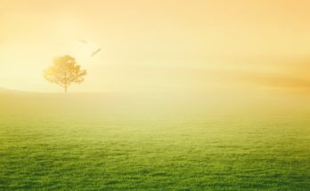 Bewerbungsflyer: Sinnvoll oder nicht?