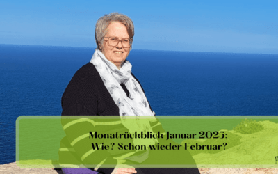 Monatrückblick Januar 2025: Wie? Schon wieder Februar?