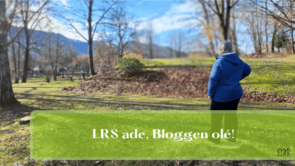 LRS ade, Bloggen olé! Wie ich meine Schwäche in Stärke verwandelte!