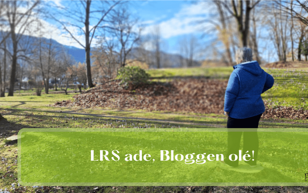 LRS ade, Bloggen olé! Wie ich meine Schwäche in Stärke verwandelte!