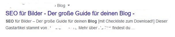 Das hier schaut aus, als gäbe es keine Meta-Description. 