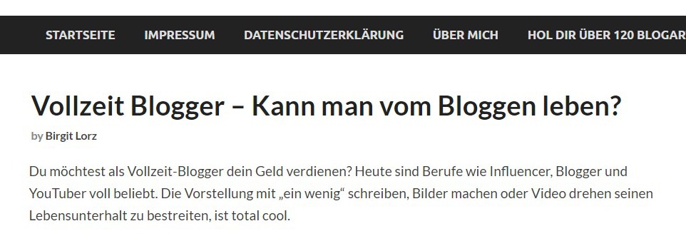 Vollzeit-Blogger - Kann man vom Bloggen leben von Birgit