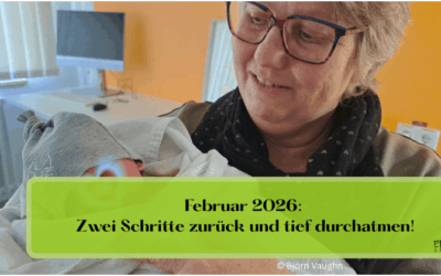 Februar 2026: Zwei Schritte zurück und tief durchatmen!