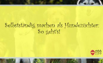 Selbstständig als Hundezüchter