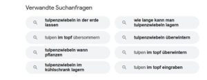 Suche bei Google nach neuen Ideen: verwandte Suchanfrage