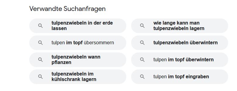 Suche bei Google nach neuen Ideen: verwandte Suchanfrage 