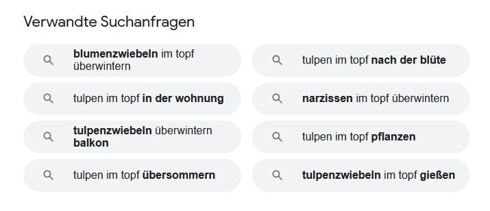 Weitere Suchanfrage - Google als Ideenfinder nutzen