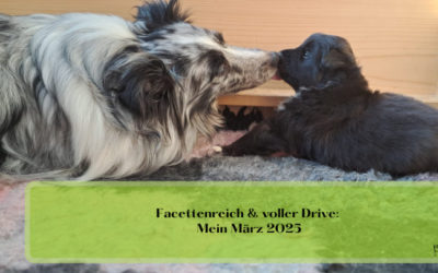 Facettenreich & voller Drive: Mein März 2025