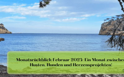 Monatsrückblick Februar 2025: Ein Monat zwischen Husten, Hunden und Herzensprojekten